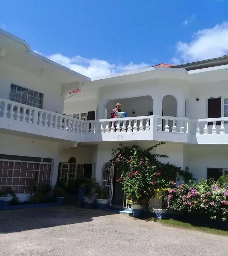 Palm Tree Guest House Lucea 3*,